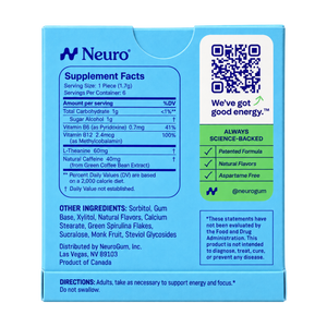 Neuro Gum, Spearmint, 6 pieces