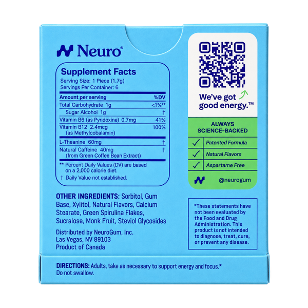 Neuro Gum, Spearmint, 6 pieces